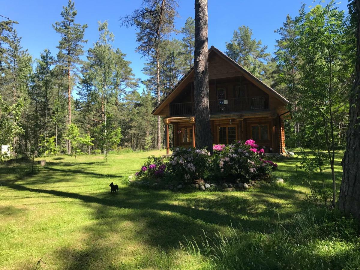 Meresihi Talu Vainupea Exteriör bild