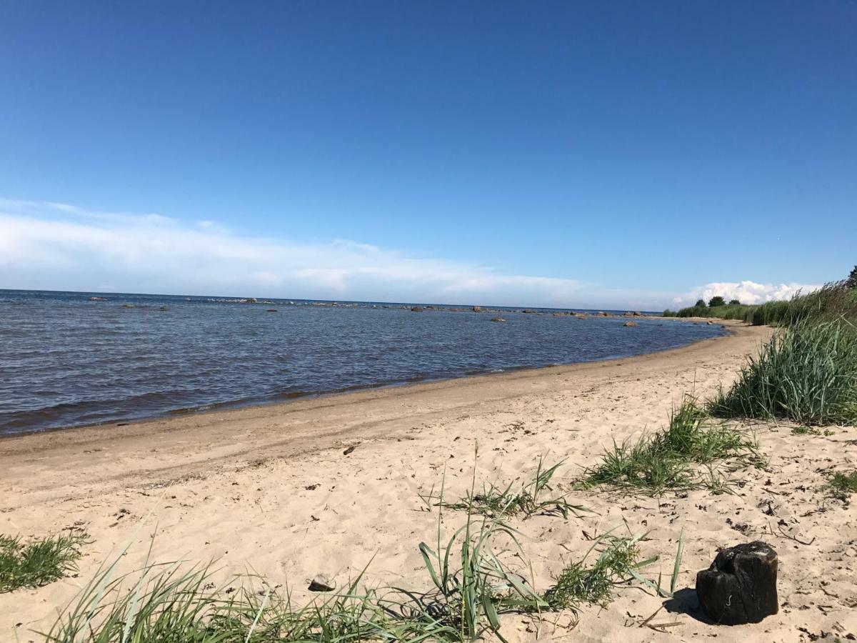Meresihi Talu Vainupea Exteriör bild